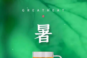 有機白茶拍了拍你：大暑宜茶